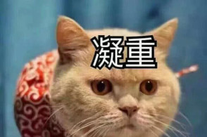 九樂棋牌官网:磷虾土豆丸子的做法(图1) 九游棋牌